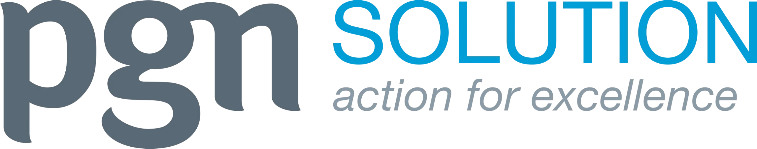 PGN_Solution_Logo